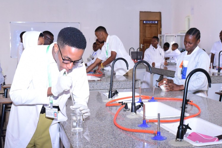 Ordinary Diploma in Pharmaceutical Sciences